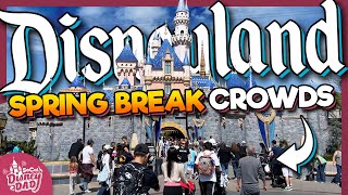 How CROWDED is Spring Break at Disneyland  March 2024 Wait Times [upl. by Nautna812]