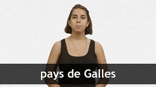 How to pronounce PAYS DE GALLES in French [upl. by Eelam]