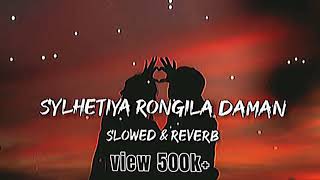 Sylhetiya rongila daman feel this song slowedreverb sylheti new update songIm wahidsupport me [upl. by Nilyac]