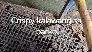 crispy kalawang sa barko [upl. by Tenahs]