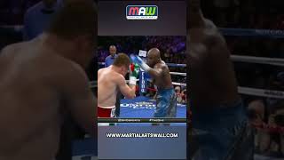 Canelo vs Mayweather fight [upl. by Yra]