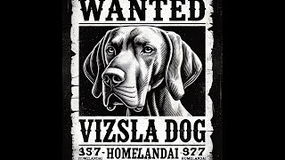 The Vizsla A Loyal and Versatile Hungarian Hunting Dog dogs dogshorts shorts vizsla ai story [upl. by Calvo86]