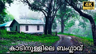 കാടിനുള്ളിലെ പഴയ ബ്രിട്ടീഷ് ബംഗ്ലാവ്  Peringalkuthu KSEB IB  4K UHD [upl. by Breh]