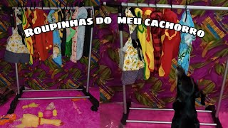 Arara de roupas da ShopeeArrumei as roupas do meu Cachorro Yuri [upl. by Ujawernalo]