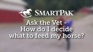 Ask the Vet  How do I decide what to feed my horse [upl. by Dail]