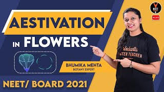 Aestivation In Flowers  NEET Biology  NEET 2021 Preparation  Bhumika Maam  Vedantu NEET [upl. by Sadiras]