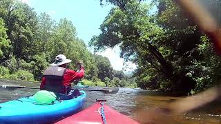 Kayaking the Tuckaseegee River  East LaPorte River Access to Webster River Access 742024 [upl. by Ecaj]