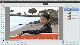 Photoshop Elements 11 Filter Effects [upl. by Hadleigh373]