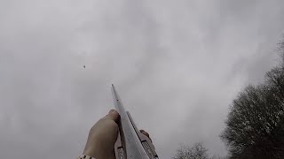 High Pheasant Shooting  Pheasant Shooting Somerset Go Pro [upl. by Ydisac154]