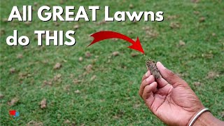 How to Aerate Your Lawn to Get Ahead of the Competition [upl. by Kinimod18]