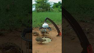 Quick bird trap technique using Using a saw  shorts  Make Traps [upl. by Ludovico]