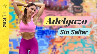 Cómo Adelgazar Sin Saltar  Rutina De Cardio Sencilla Y No Muy Larga [upl. by Anidan]