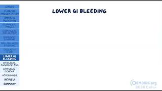 Gastrointestinal Bleeding  Clinical Practice  Osmosis [upl. by Ohara]