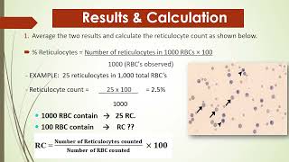 Reticulocyte count  3rd year [upl. by Phil]