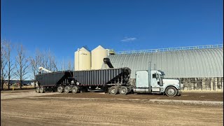 Hauling fertilizer weighing 140000lbs BTrains [upl. by Aun]