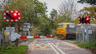 Roffey Road Level Crossing West Sussex 311024 [upl. by Amairam]