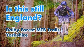 Is this best Yorkshire has  Dalby Forest Trail Guide [upl. by Okkin]