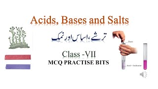 Acids Bases and Salts Class 7 ترشے، اساس اور نمک MCQ Practice Bits Quiz URDU MEDIUM [upl. by Enilorak]