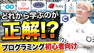 【2023年最新】プログラミング初心者が1つ目に勉強すべき言語は？ [upl. by Itnahs115]