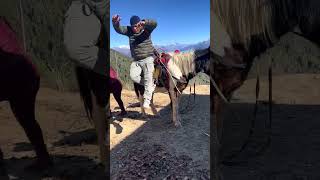 Funniest horse rider 😆 rameshkarki horseriding youtubeshorts youtubefeed [upl. by Kirch]