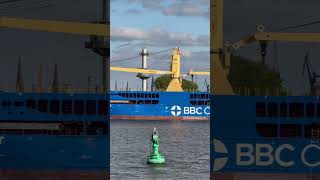 BBC LEER  General Cargo Ship  IMO 9885283  06102024  Hamburger Hafen [upl. by Derman]