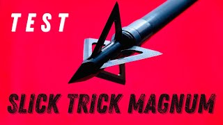 SLICK TRICK MAGNUM 100 gr Broadhead Test One of the Highest Scores in 2022 [upl. by Anilegnave]