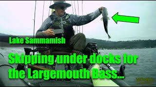 Lake Sammamish Catching Largemouth [upl. by Yddur]