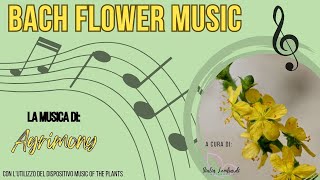 La Musica dei Fiori di Bach  AGRIMONY  Bach Flower Music [upl. by Naened36]