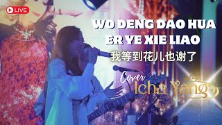 Wo Deng Dao Hua Er Ye Xie Liao 我等到花儿也谢了  iCHA YANG cover Live at GRAND EAGLE [upl. by Airec128]