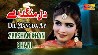 Attock Da Chor  Zeeshan Khan Shani  Latest Saraiki Song 2020  Shaheen Studio [upl. by Octave]