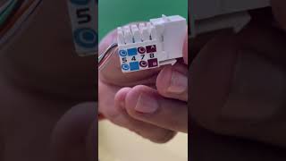 Mini Jack rj45 redes [upl. by Naugan105]