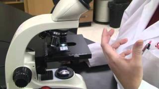 Introduction to the Light Microscope [upl. by Charline]