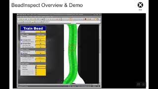 Insight Spreadsheet  BeadInspect Overview and Demo [upl. by Grayson]