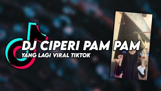 DJ Ciperi Pam Pam X Maimunah Viral TikTok 2022 Bluesky Asia Remix [upl. by Ahsan485]