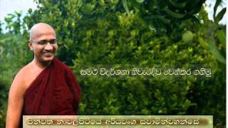 Nawalapitiye Ariyawansa Thero  Samatha vidarshana niwaridiwa wen kara ganimu [upl. by Sherrie]