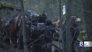 Horse rescued from mud in Mendon Ponds Park [upl. by Acirrej]