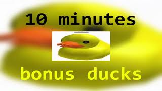 bonus ducks  10 minutes [upl. by Ahcsim132]