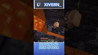 Showing no fear against Piglin Brutes in Minecraft [upl. by Viglione335]