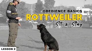 Teach Your Rottweiler to Sit and Stay  Basic Obedience  lesson 2  Dog Training Video [upl. by Attenweiler934]