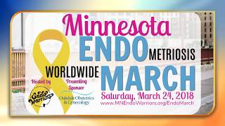 MN Endo Warriors founding board member Britt Thelemann Pangerl talks Endometriosis with Fox 9 [upl. by Siberson359]