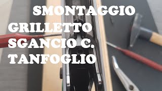 Smontare il grilletto e lo sgancio caricatore Tanfoglio [upl. by Aneetsirk648]