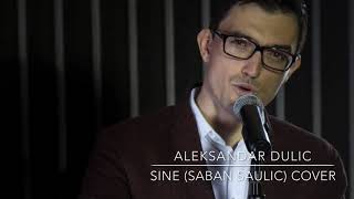 Aleksandar Dulic  Sine Cover Saban Saulic [upl. by Aleta]