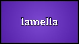 Lamella Meaning [upl. by Teddman486]