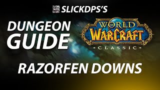 HARDCORE  RAZORFEN DOWNS DUNGEON GUIDE  WOW CLASSIC [upl. by Dorrahs246]