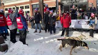 Dog Sled Race KLONDIKE DERBY Excelsior MN  Feb 4 2023 [upl. by Bar]