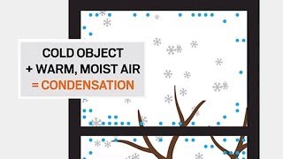 Understanding Condensation  Andersen Windows [upl. by Irap401]