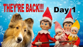 quotThe ELFS is BACK Wut iz Elfsquot 🎅🏼🎄🐶 An Elf on the Shelf Biscuit Talky ⭐️Shelf Elf 2021⭐️ Day 1 [upl. by Eudora]