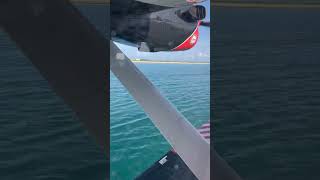 🛩️ Spectacular Maldives Seaplane Takeoff  Aerial Paradise Views 🌴✨ [upl. by Juna587]