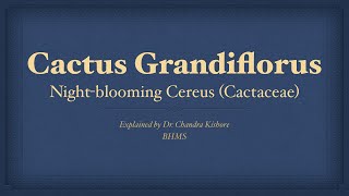 Cactus Grandiflorus  Allen’s Keynotes  Well Explained [upl. by Nutsud]