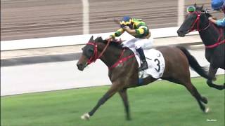 17032019 香港打吡大賽 HONG KONG DERBY ２０１９ 添滿意 C079 布文 [upl. by Ahsurej]